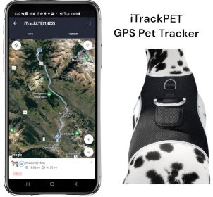 GPS Pet Locator Collar Mounted Waterproof GSM Dog/Cat Tracking Device Size:S