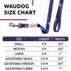 Nylon Dog Leash for Small Dogs and Medium Dogs 4 Ft x 3/5 inch Wide Heavy Duty Dog Leash Purple Nasa Color