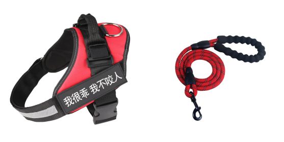 Fashion Simple Pet Leash Chest Strap Set (Option: Red-XL)