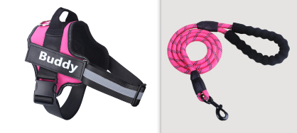 Fashion Simple Pet Leash Chest Strap Set (Option: Pink-XL)
