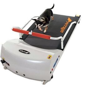 PetRun PR700 Dog Treadmill (size: Pr700)